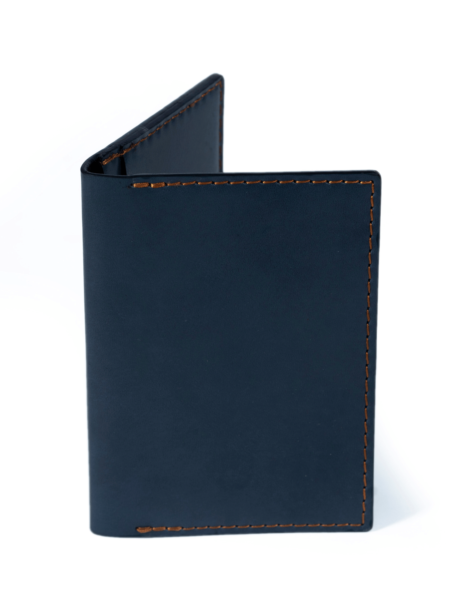 Voyager Passport Cover: Blue