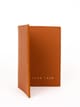 Voyager Passport Cover: Tann